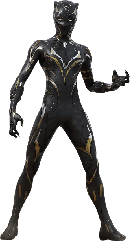 The new Black Panther